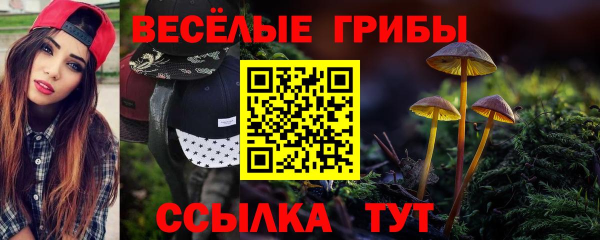 Псилоцибиновые грибы MAGIC MUSHROOMS Карачаевск