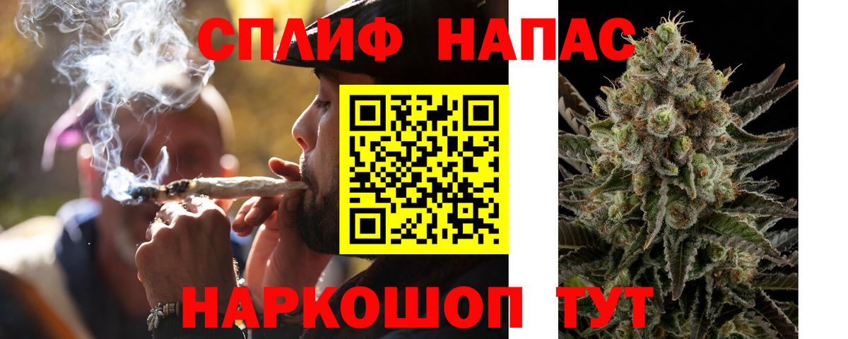 Бошки Шишки конопля Карачаевск